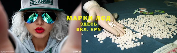 СК Вяземский
