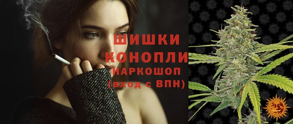 СК Вяземский