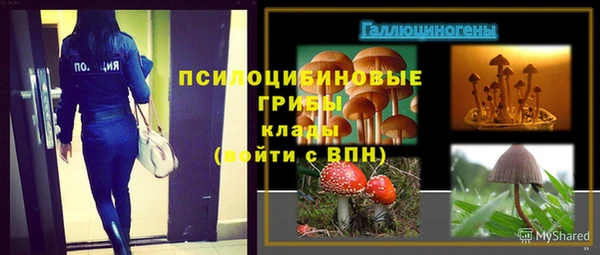 СК Вяземский